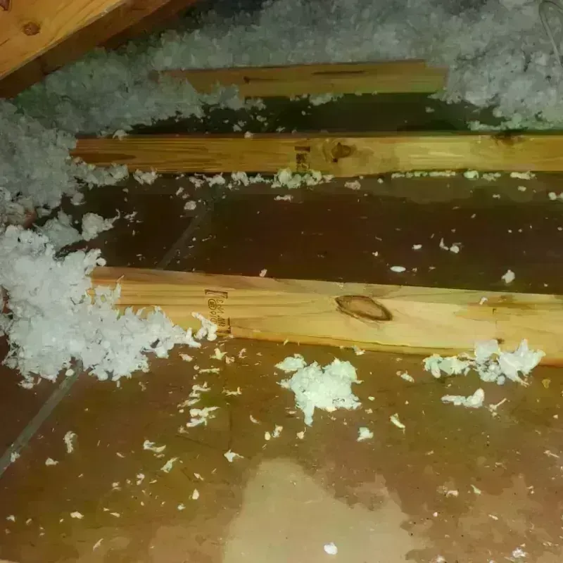 Attic Water Damage in Y, AK