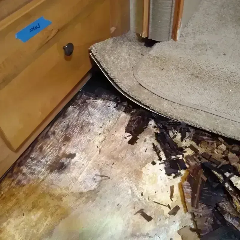 Wood Floor Water Damage in Y, AK